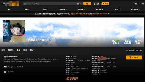 p站在线视频,视觉盛宴与创意灵感汇聚之地