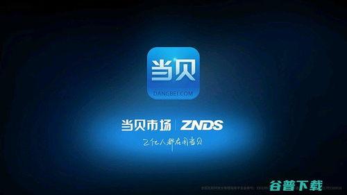 任意噪2024在线视频,噪动中的视觉盛宴
